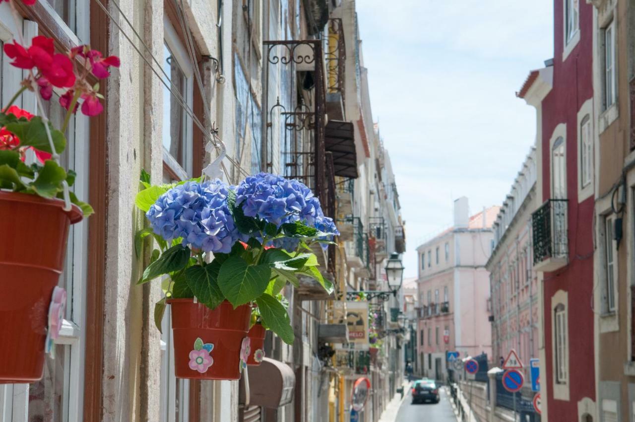 Lisboa120 Passidico公寓 外观 照片